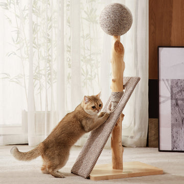 Natural Wood&Sisal Cat Scratcher