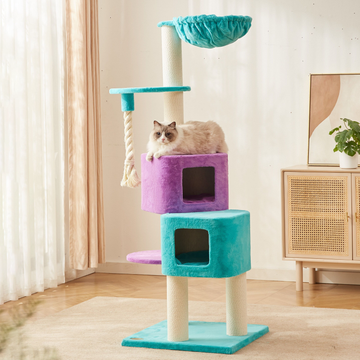 Colorful Living Cat Tree Plus