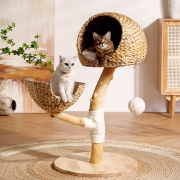 Natural Wooden Cat Tree A