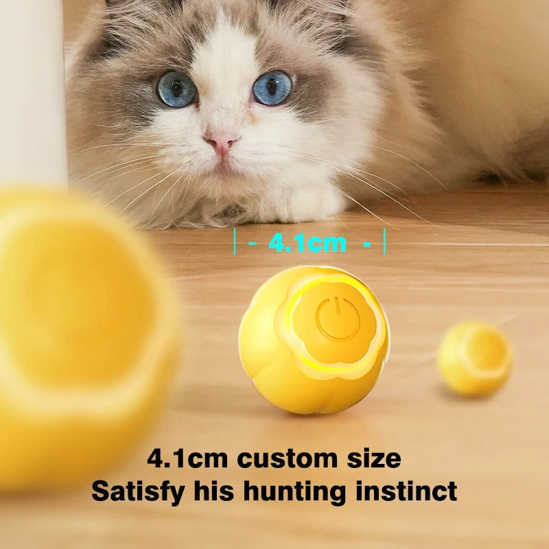 Self-Moving Cat Play Ball with USB Charging