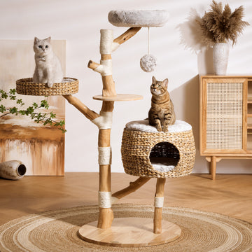 Natural Wooden Cat Tree B