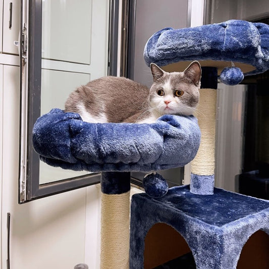 Multi-function Playground Cat Tree