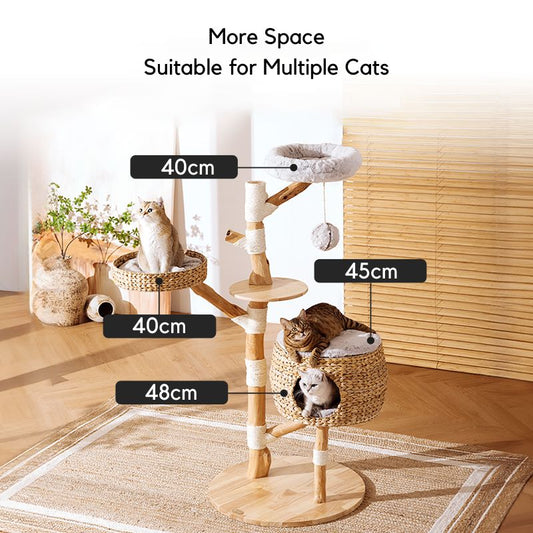 Natural Wooden Cat Tree B