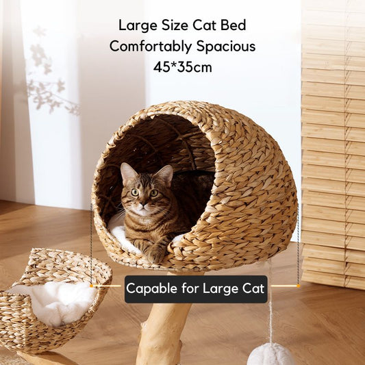 Natural Wooden Cat Tree A