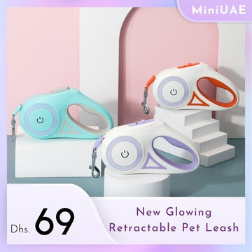 New Glowing Retractable Pet Leash